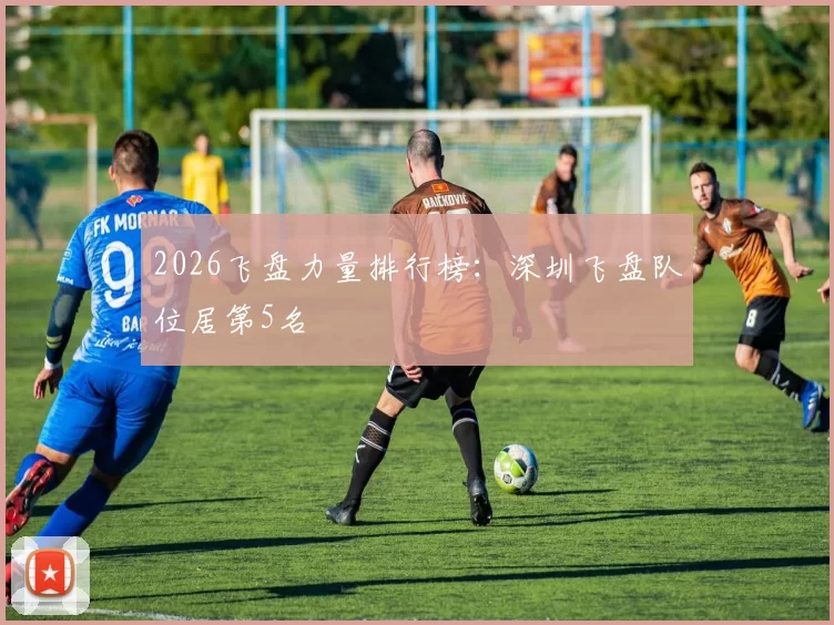 2026飞盘力量排行榜：深圳飞盘队位居第5名