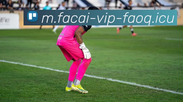 爱游戏体育注册服务体系